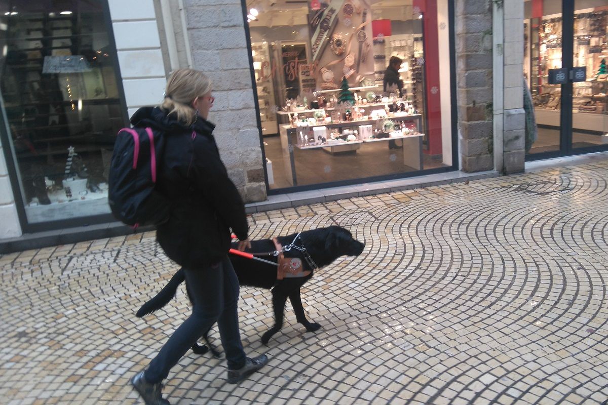 Anne ROLLAND Kinesitherapeute de profession proprietaire de JOOS et desormais son compagnon mais aussi un instrument de liberte et d autonomie pour sa maitresse