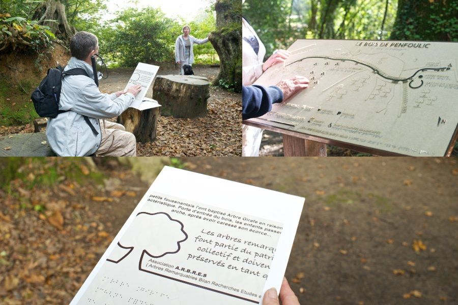 Fiche decouverte des arbres avec en braille