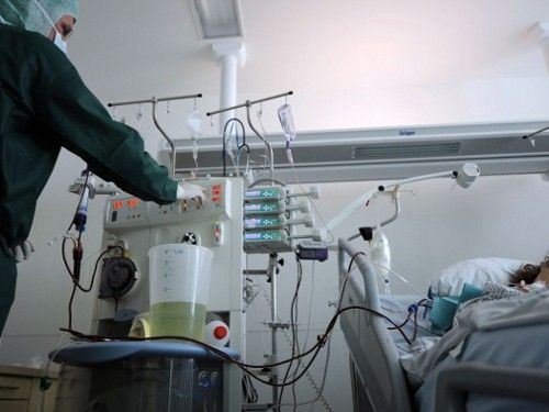 la-transplantation pour-les-maladies-du-rein