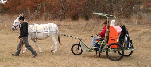 La Randoline avec un accompagnateur