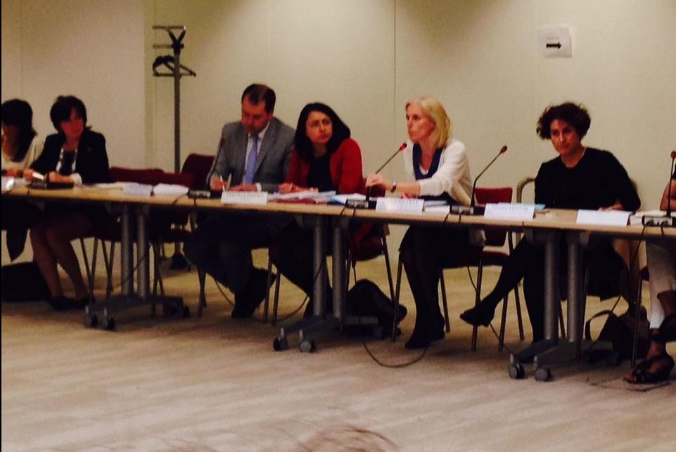 Segolene NEUVILLE conseil nationale de l autisme