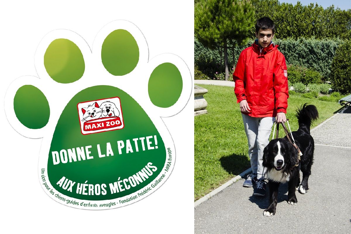 Logo campagne donne la patte