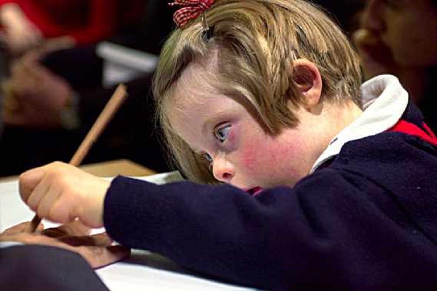 Inclusion des enfants en situation de handicaps au sein de la scolarite