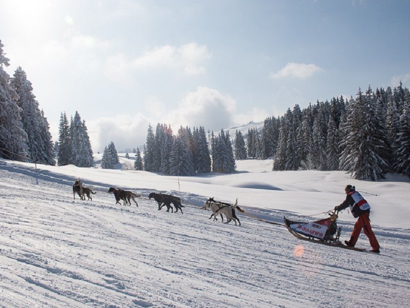 La Grande Odyssée Savoie Mont Blanc 2014. Un traîneau avec son équipage lors de l'édition 2013