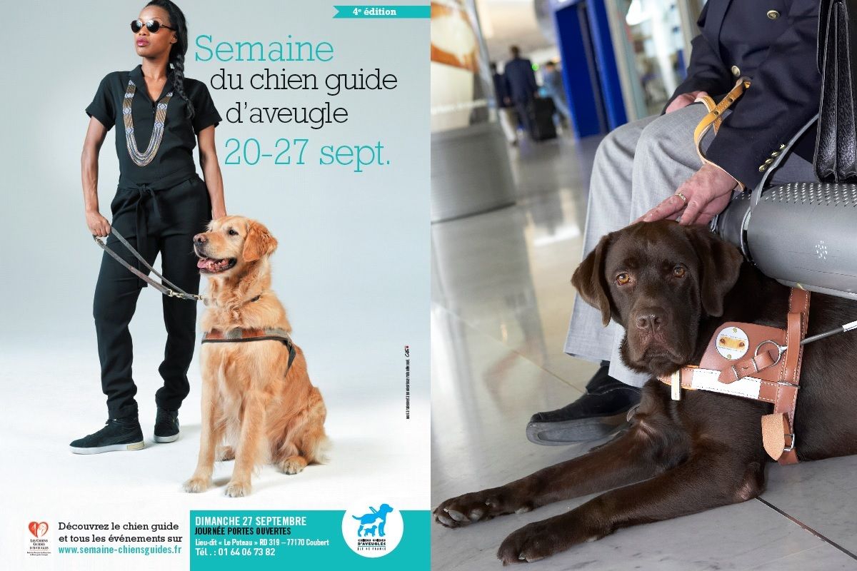 Affiche semaine nationale du chien guide d aveugle du 20 au 27 sepembre 2015