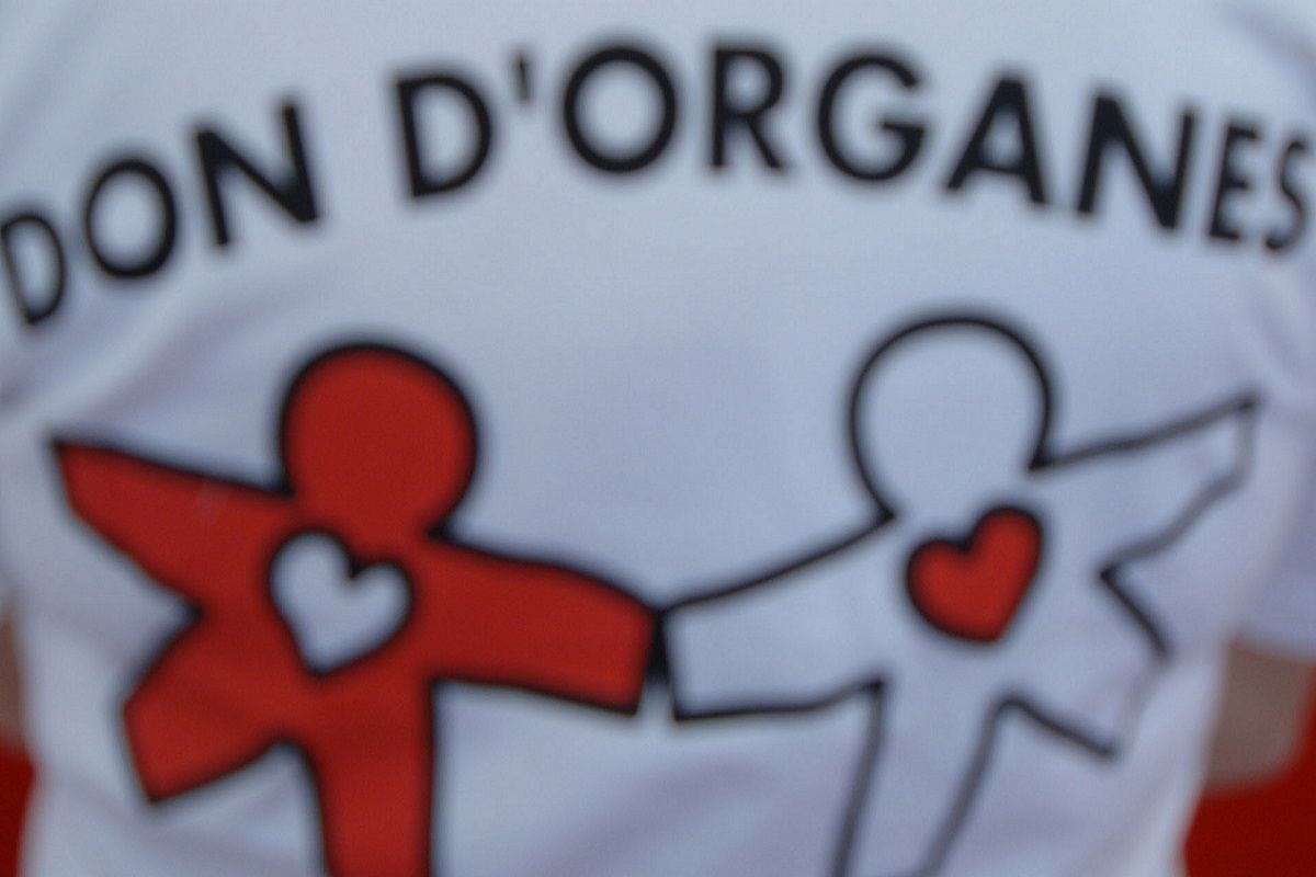 Journee du don d organe
