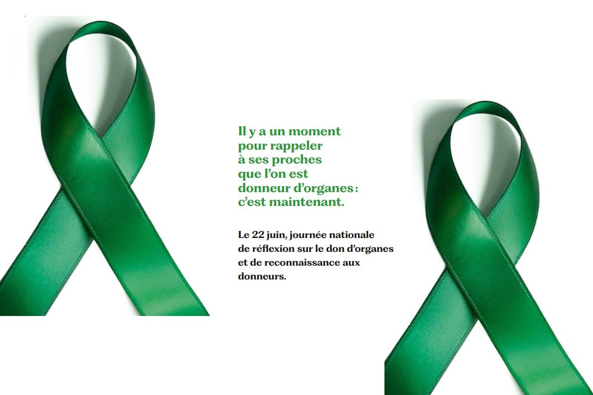 Ruban vert symbole de la journée nationale de prévention des dons d'organe 2023 75971