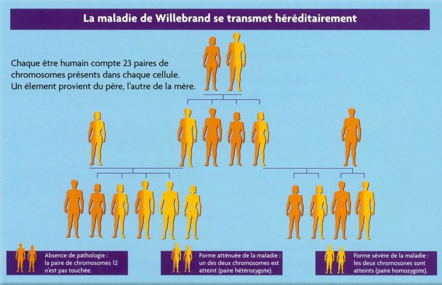 Affiche de la journée mondiale de l’hémophilie le 17 avril 2013