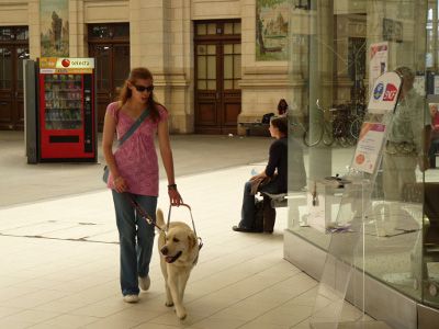 Une jeune fille non voyante au cote de son chien