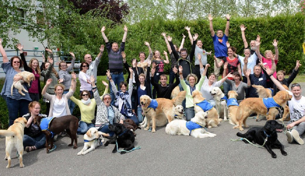 Stage association HandiChiens