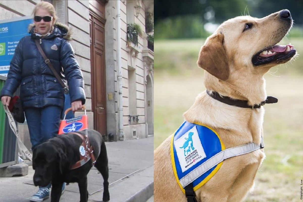 Flore dans la rue avec la jeune chienne guide d aveugle Jelly qui est rentre dans sa vie