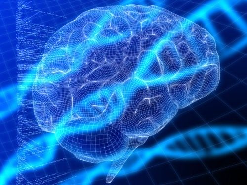 les-gene-et-les-maladies-mentale