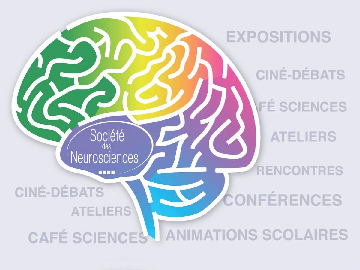 Affiche partielle de la Semaine du cerveau qui lieu du 13 au 19 mars 2017
