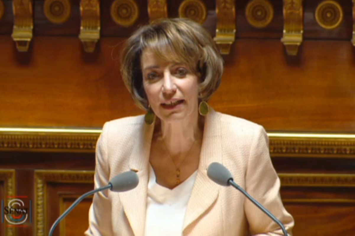 Marisol TOURIANE_devant_le_Senat_le_16_juin_2015