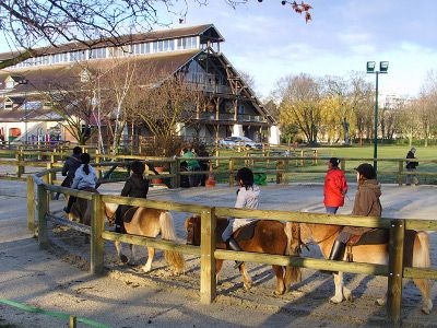 Poney-club-de-l-ile-saint-germain-issy-les-moulineaux